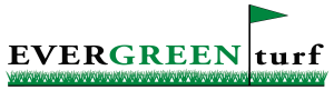Evergreen Turf